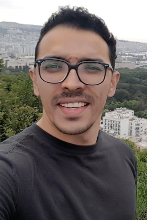Hamza Mendil foto