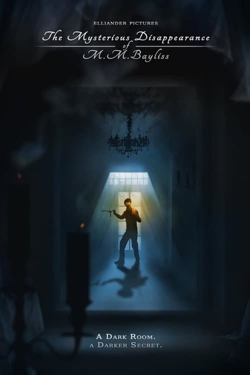 The Mysterious Disappearance of M.M. Bayliss (2013) poster