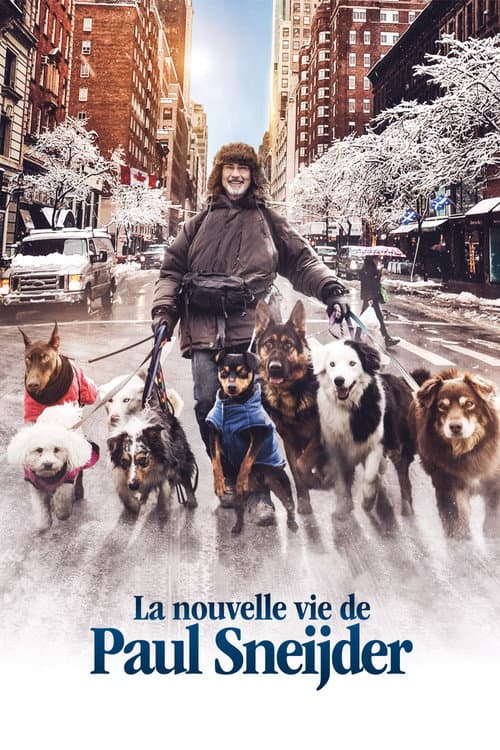 La Nouvelle Vie de Paul Sneijder (2016) poster
