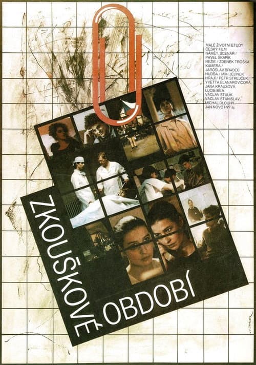 Zkouškové období (1990) poster