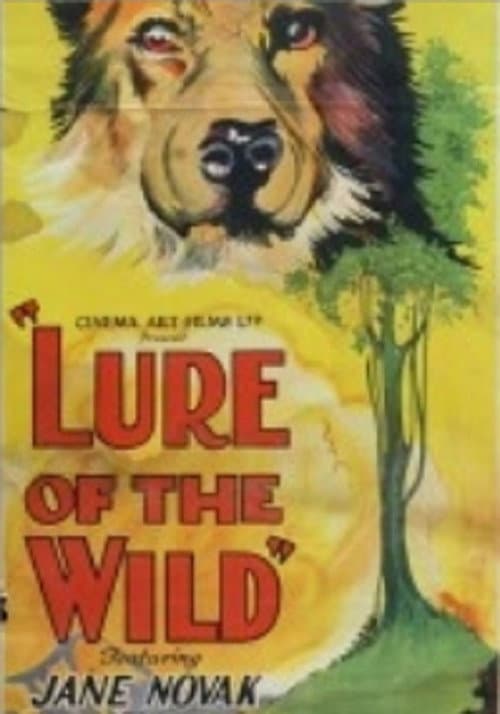 The Lure of the Wild (1925) poster