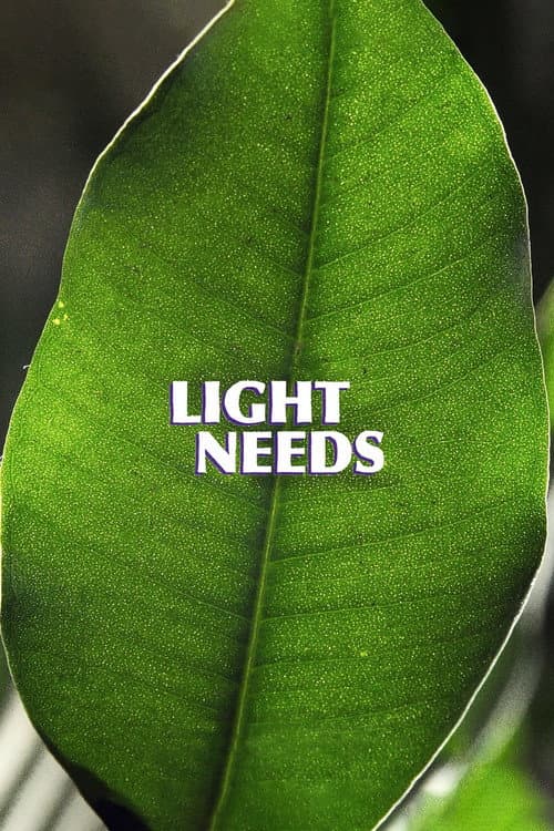 Light Needs (2023) poster