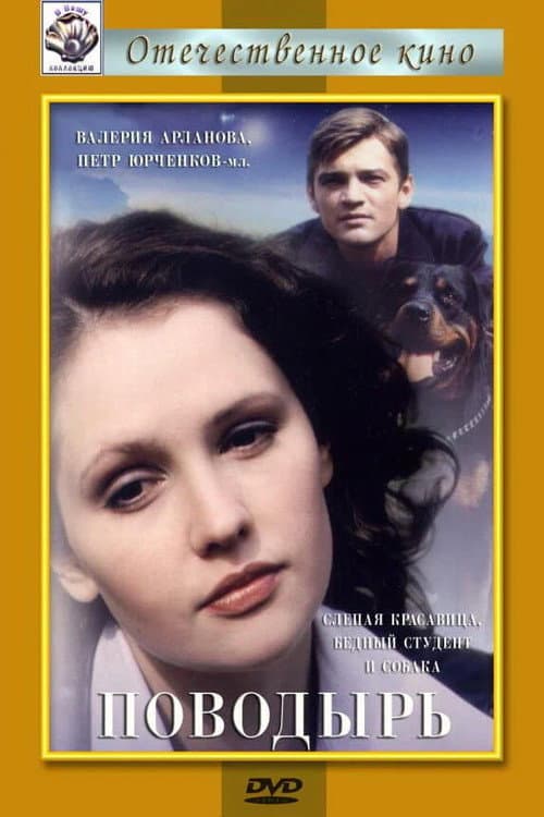 Поводырь (2001) poster