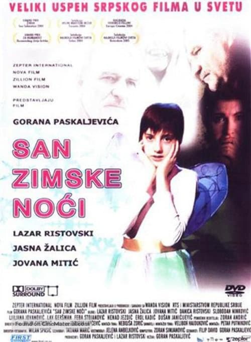 San zimske noći (2004) poster