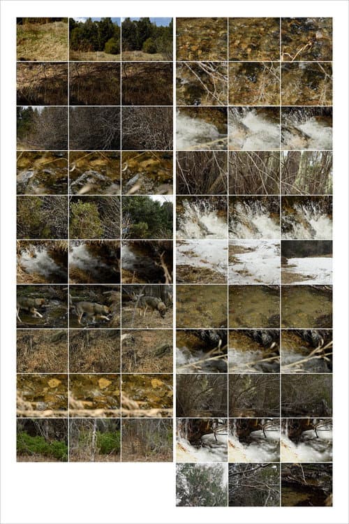 Interactions 3: Forest and Stream (2023) poster