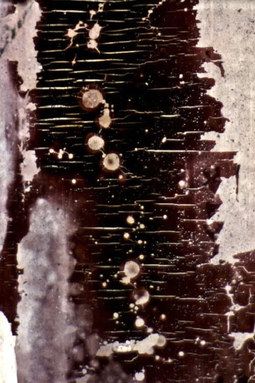 Ulm Kinole (1988) poster
