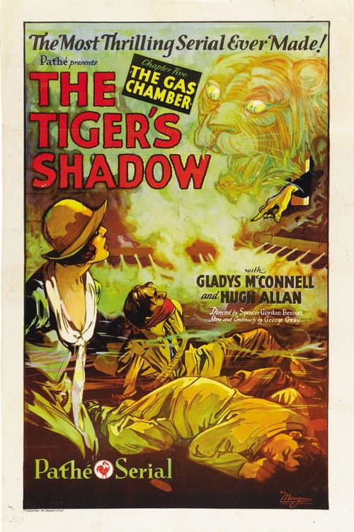 The Tiger's Shadow (1928) poster