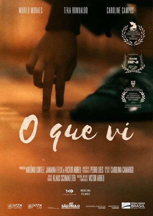 O Que Vi (2024) poster