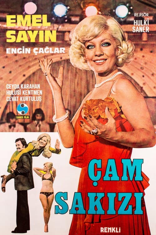 Çam Sakızı (1974) poster
