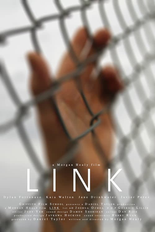 Link (2020) poster