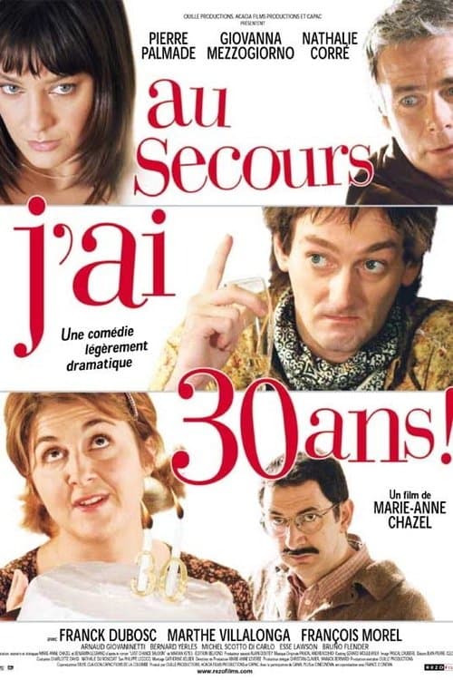 Au secours, j'ai 30 ans ! (2004) poster