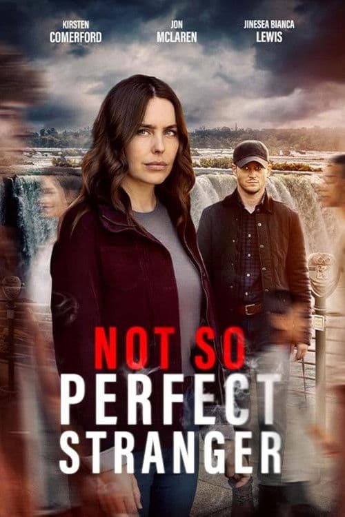 Not So Perfect Stranger (2025) poster