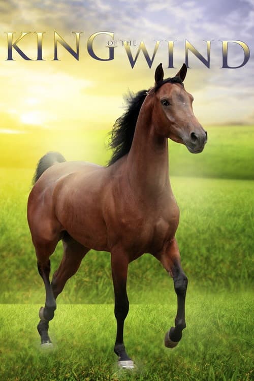 King of the Wind (1990) poster