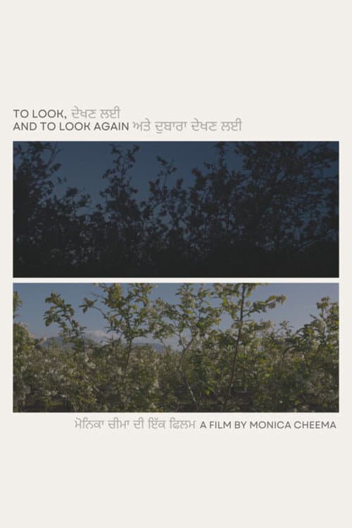 To Look, and to Look Again (2025) poster