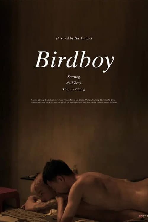 Birdboy (2026) poster