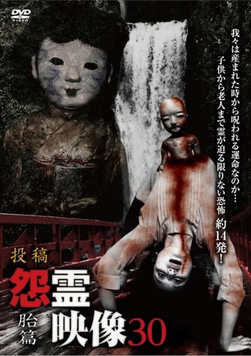 投稿 怨霊映像 Vol.30 胎篇 (2017) poster
