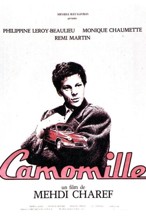 Camomille (1988) poster