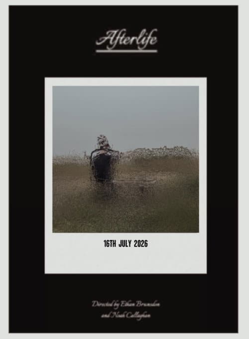 Afterlife (2026) poster