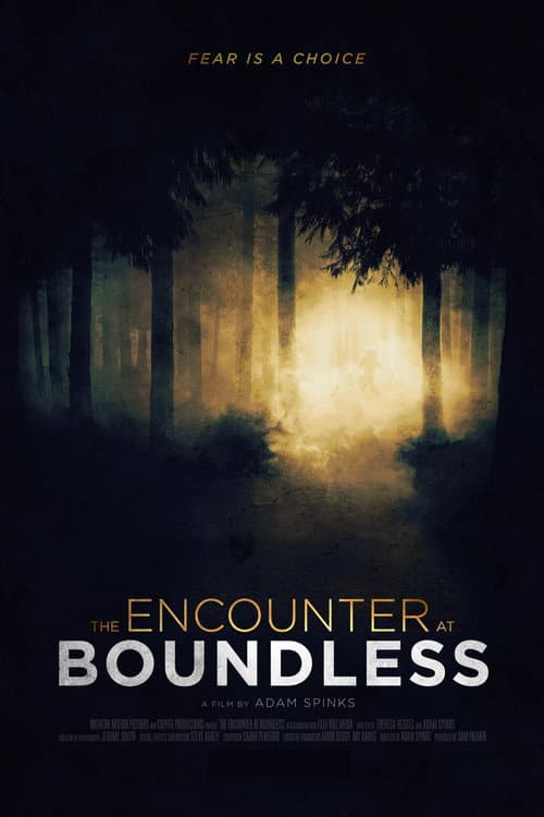 The Encounter at Boundless (2021) poster