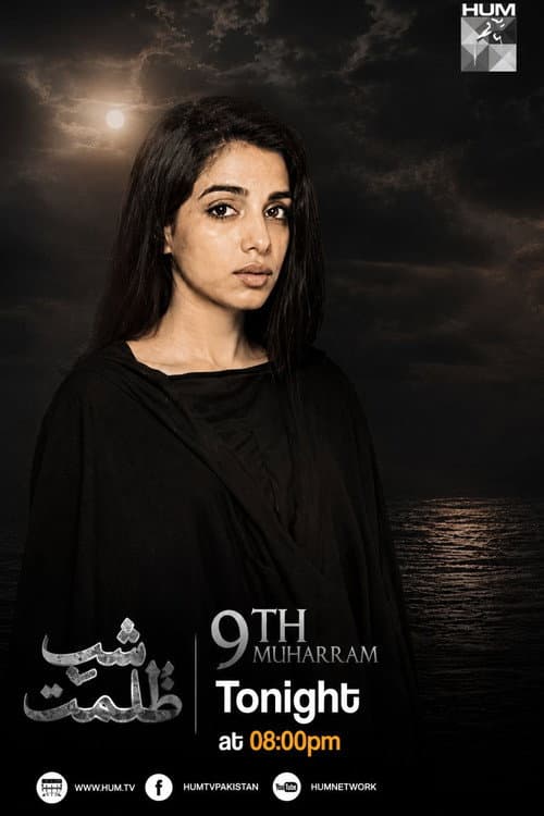 Shab-e-Zulmat (2016) poster