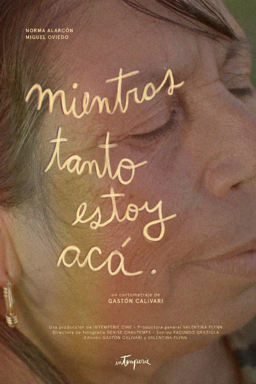 Mientras tanto estoy acá (2024) poster