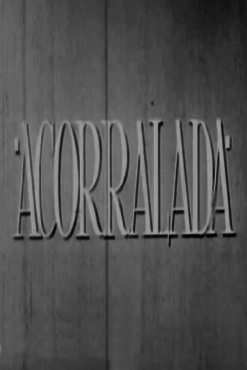 Acorralada (1953) poster