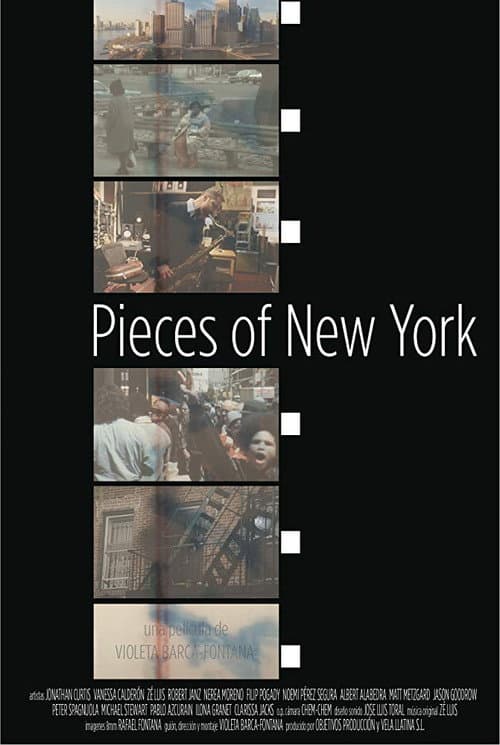 Pieces of New York (2018) poster