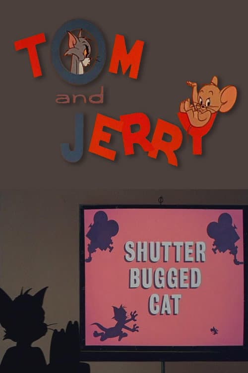 Shutter Bugged Cat (1967) poster