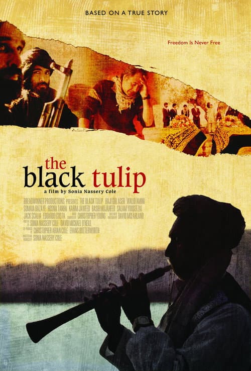 The Black Tulip (2012) poster