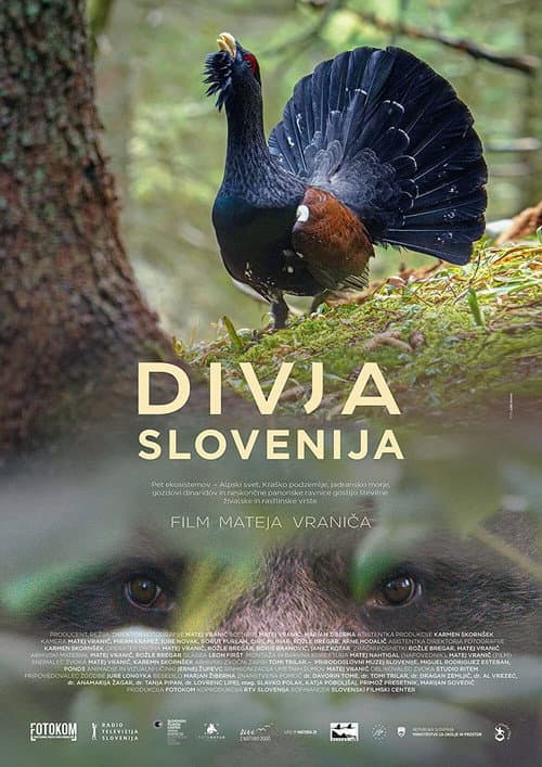 Divja Slovenija (2021) poster