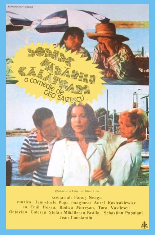 Sosesc păsările călătoare (1984) poster