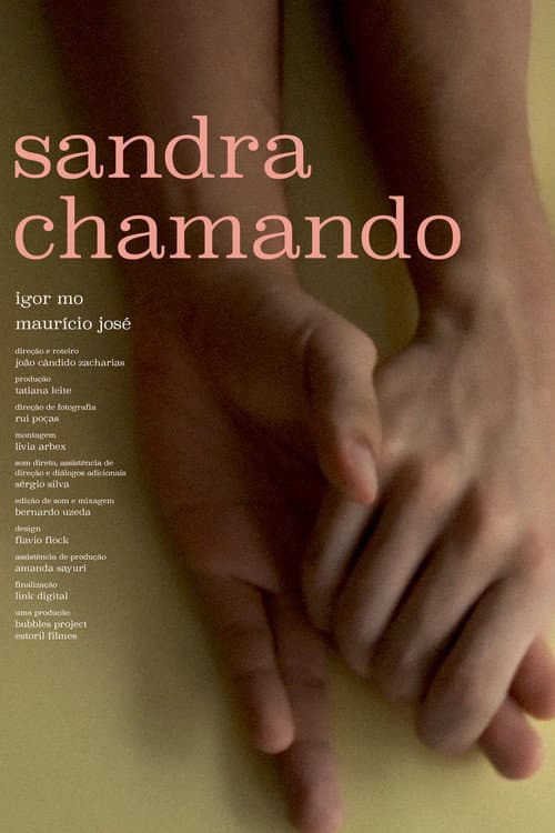 Sandra Chamando (2017) poster