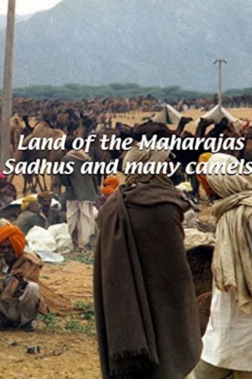 Land of the Maharajahs (1931) poster