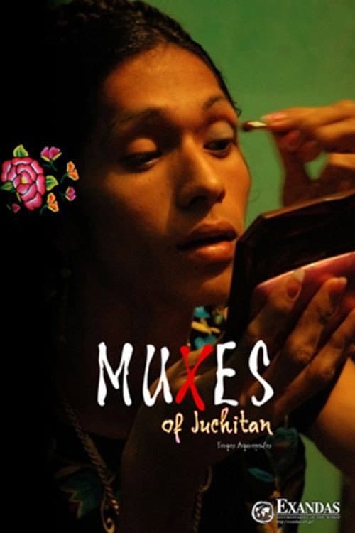 Muxes  deJuchitán (2008) poster