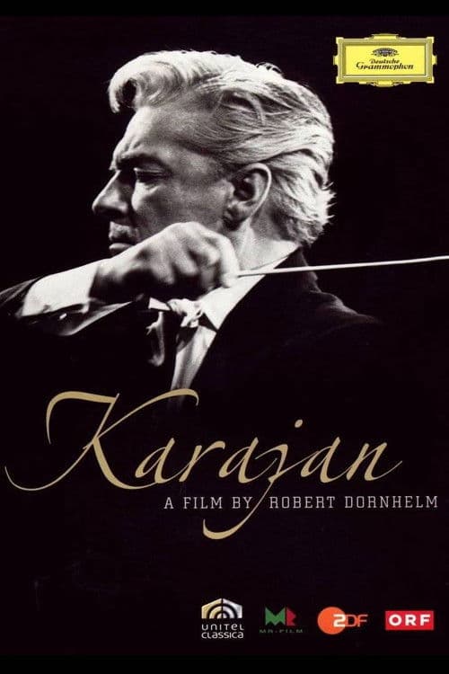 Karajan—Schönheit wie ich sie sehe (2008) poster