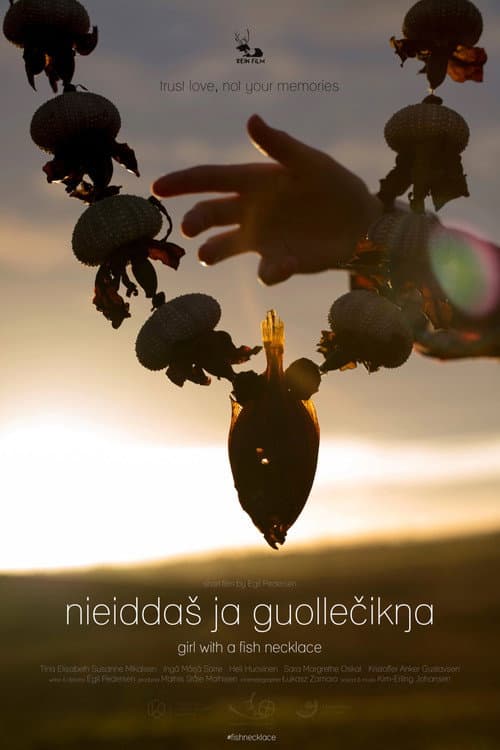 Nieiddas ja guollecikna (2017) poster