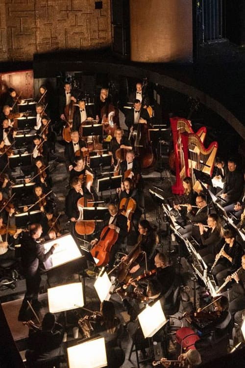 MET Orchestra foto