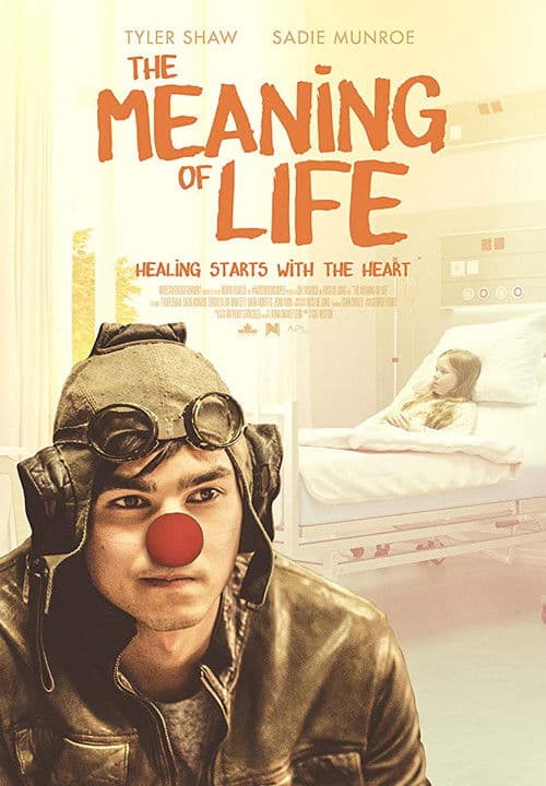 The Meaning Of Life (2019) poster