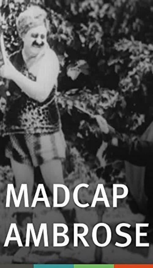 Madcap Ambrose (1916) poster