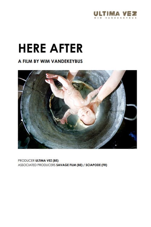 Here After (2010) poster