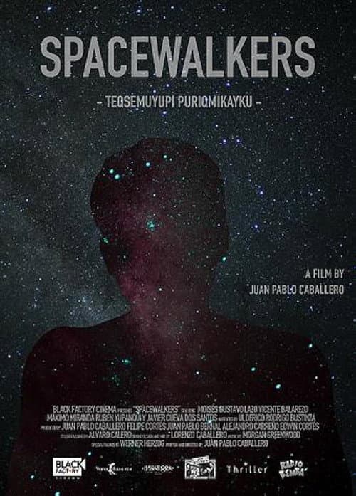 Spacewalkers (2018) poster