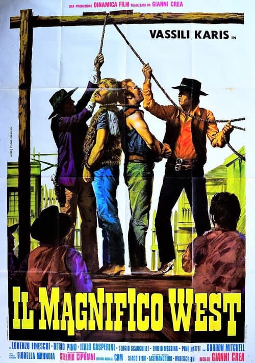 Il magnifico west (1972) poster