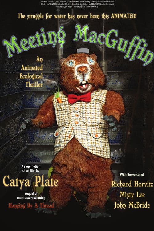 Meeting MacGuffin (2017) poster