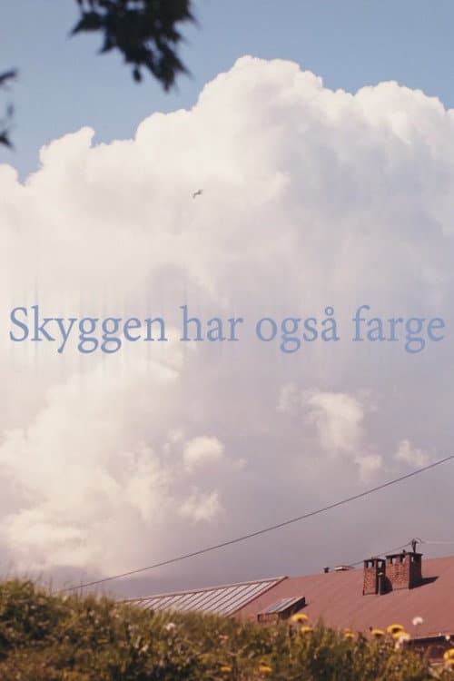 Skyggen har også farge (2020) poster