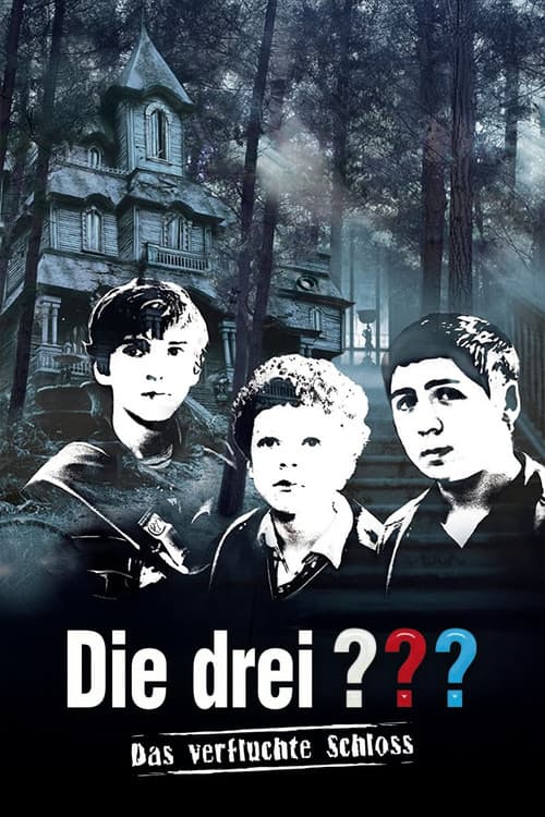 Die drei ??? – Das verfluchte Schloss (2009) poster