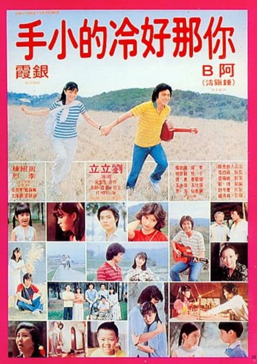 Don't Forget the Promise (1980) poster