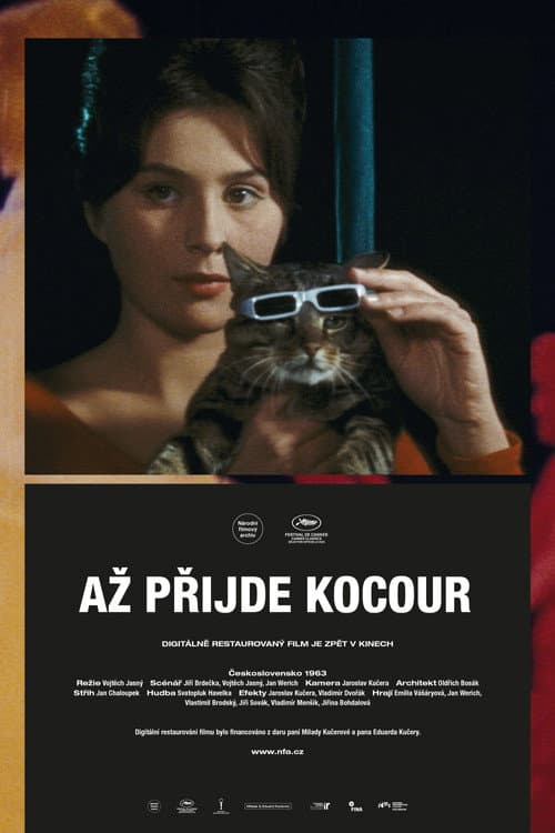 Až přijde kocour (1963) poster