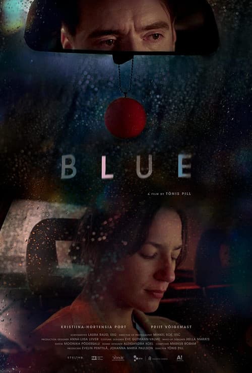 Sinine (2020) poster