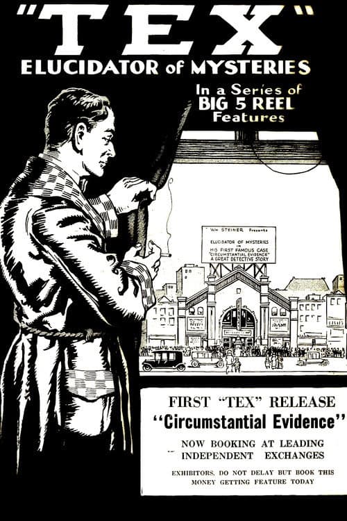 Detective Tex: Circumstantial Evidence (1920) poster