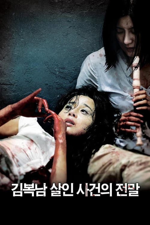 Kim Bok-nam Salinsageonui Jeonmal (2010) poster